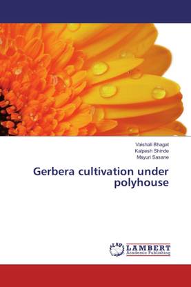 Gerbera cultivation under polyhouse