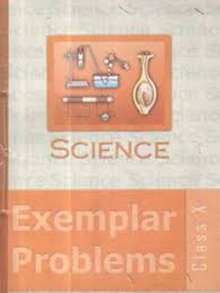 Science Exemplar Problems Class 10
