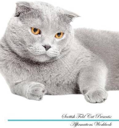 Scottish Fold Cat Affirmations Workbook Scottish Fold Cat Presents