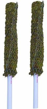 Dr Arya 2ft Each (Set of 2)|Moss Stick for Money Plant Support Creepers|Climbing Indoor Garden Mulch