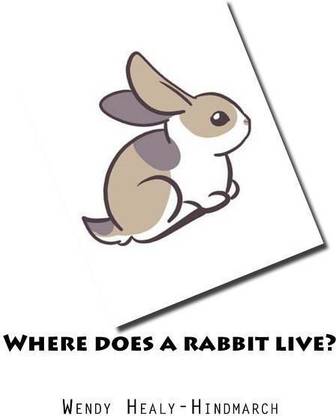 Where does a rabbit live?