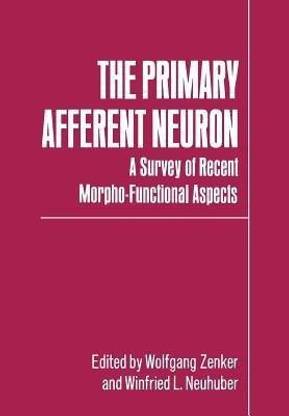 The Primary Afferent Neuron