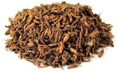 Urancia Dried Dhawa Phool Anogeissus Latifolia Conocarpus erectus Combretaceae Button Tree Ghatti Tree Axle-wood Tree 100g