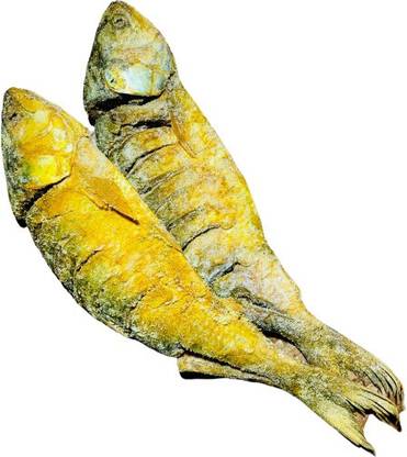 KOO Retails Bengal Salted Hilsa Fish Dried, Ilish mach Clean