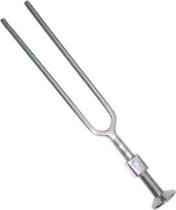 Bhumi Tuning Fork