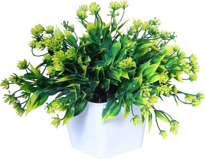 S-Biv Grass Flower Green Cosmos Artificial Flower  with Pot