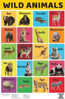Wild Animals : Charts