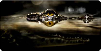 NOCKOUT Designer Large Mouse Pad for Laptop/Computer/Mouse/Keyboard (Size: 60 X 30 Cm)(LMP_4033K)Mousepad Non Slip Base Mousepad