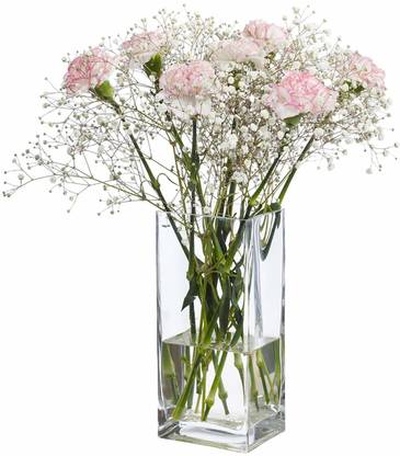Gvibe Crystal Clear Glass Square Shape Flower Vase for Home Decor 6 Inches. Glass Vase