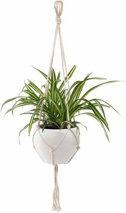 pepme Plant Container Set