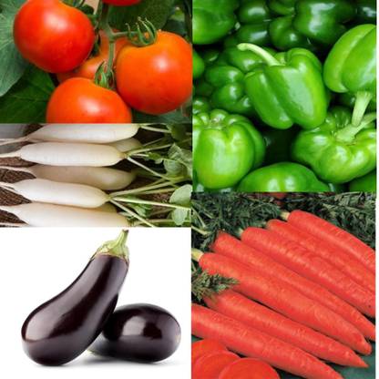 Jasoos TOMATO, CAPSICUM, RAIDISH, EGGPLANT CORROT Seed