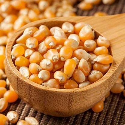 organic orchard Popcorn Kernels Seeds NA Popcorn