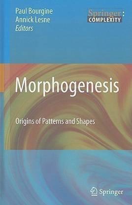 Morphogenesis