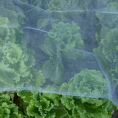 ZIMBLE Bird Netting [Heavy Duty] Protect Plants and Fruit Trees Extra Strong Garden Net is Easy to Use, Doesn't Tangle and Reusable - Lasting Protection (1.5mX6m) Insect Net