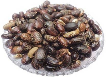 V Seed Castor Seeds Seed