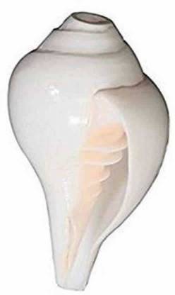 SHANK shk012 Blowing Shankh