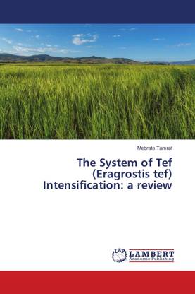 The System of Tef (Eragrostis tef) Intensification: a review