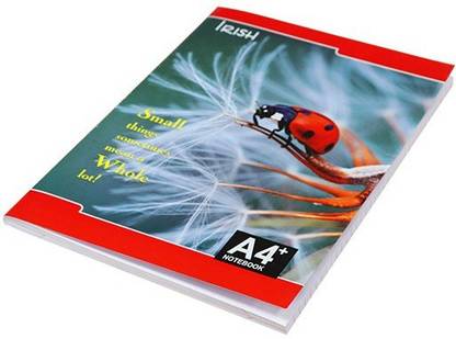 Irish Register A4 Notebook Single Line- Hindi 224 Pages