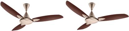 USHA Bloom Primrose pack of 2 1250 mm 3 Blade Ceiling Fan