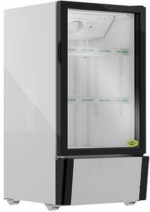 WESTERN 216 L Single Door Upright Freezer