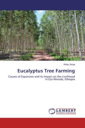 Eucalyptus Tree Farming
