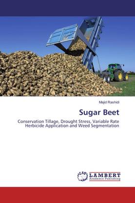 Sugar Beet
