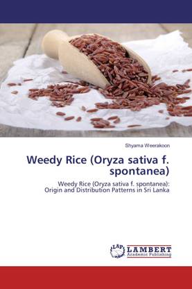 Weedy Rice (Oryza sativa f. spontanea)
