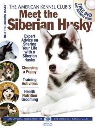 Meet the Siberian Husky