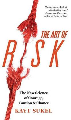 The Art of Risk