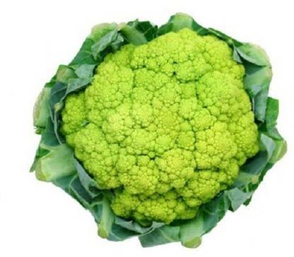 Sjeme Green cauliflower Gobi seed Seed