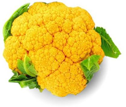 Sjeme Yellow cauliflower Gobi seed Seed