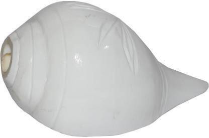 SHANK Blowing Shankh