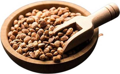 Nature Vit Almondette Seeds, 500g [Chironji or Charoli] Chironji Seeds