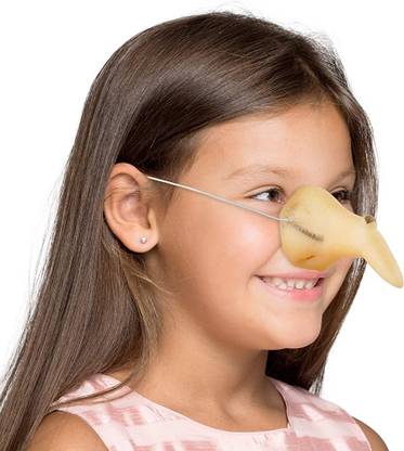 AMACO Artificial fake Nose / Witch nose/ halloween nose) horror Nose Gag toys Gag Toy