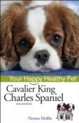 Cavalier King Charles Spaniel