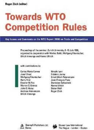 Towards WTO Competition Rules