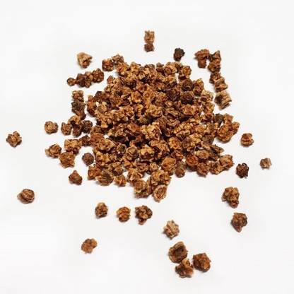 Sjeme Forono beetroot seed Seed