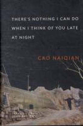 There's Nothing I Can Do When I Think of You Late at Night