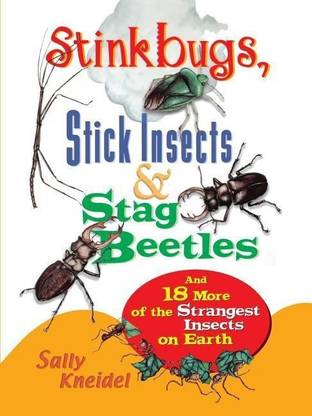 Stink Bugs, Stick Insects, and Stag Beetles