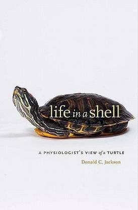 Life in a Shell