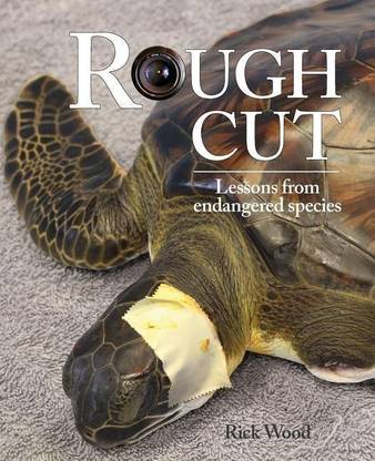 Rough Cut