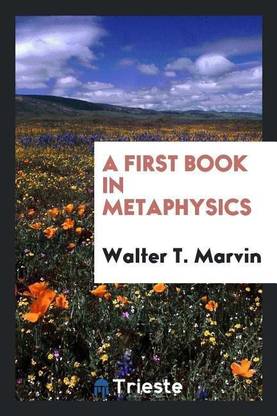 A First Book in Metaphysics