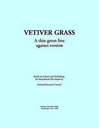 Vetiver Grass