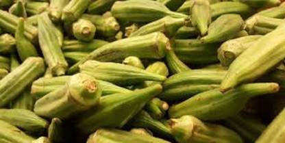Sjeme Lady Finger DVR 1, 2, 3, 4, Bhindi / Lady Finger Seeds- 90 Seed
