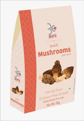 AVNI ESSENTIALS Guchchi Mushroom 100% Naturally grown