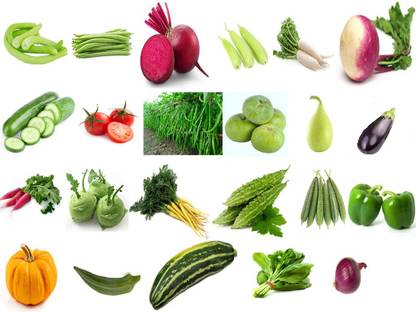 V Seed VBX47C 23 in 1 Summer Variety Vegetables Seed Pack- 900 Seed