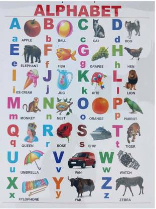 Chart Plastic Laminated Wall Hanging Easy Clean Photographic Paper