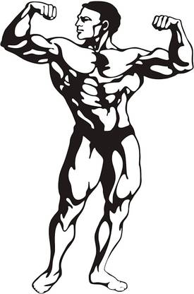 Asmi Collections 60 cm Body Builder Wrestler Wall Stickers for Gym Self Adhesive Sticker
