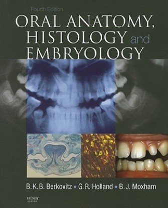 Oral Anatomy, Histology And Embryology: Buy Oral Anatomy, Histology And ...