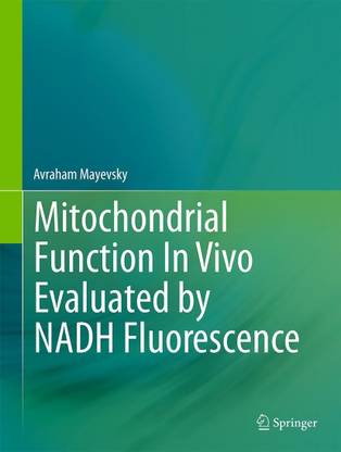 Mitochondrial Function In Vivo Evaluated by NADH Fluorescence